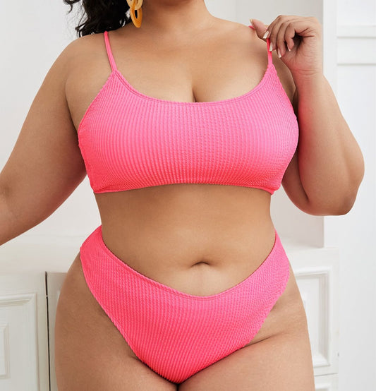 Plus Size New Sexy Hot Solid Color Bikini Swimsuit